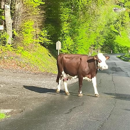 A Cordon Entre Bois Et Nature Экстерьер фото