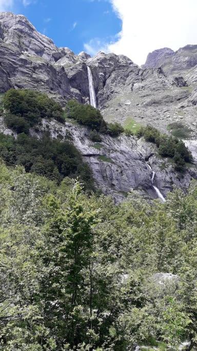 A Cordon Entre Bois Et Nature Экстерьер фото