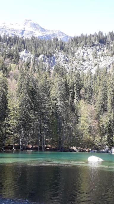 A Cordon Entre Bois Et Nature Экстерьер фото